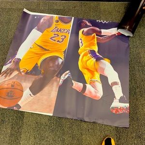 Life sized Lebron James magnet poster